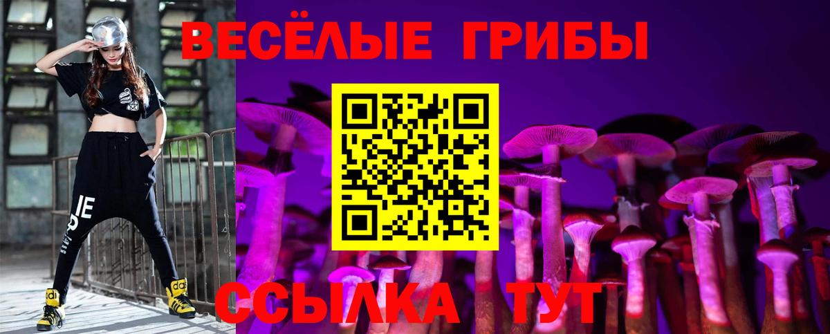 Сергиев Посад  Галлюциногенные грибы мухоморы  Псилоцибиновые грибы мицелий  Вход с VPN 